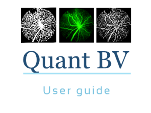 quantbv-user-guide